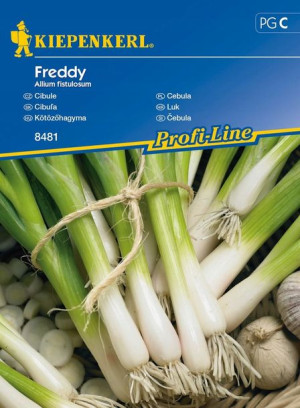 Cebula 'Freddy' - Siedmiolatka - Kiepenkerl