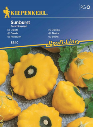 Patison 'Sunburst' - Nasiona Kiepenkerl