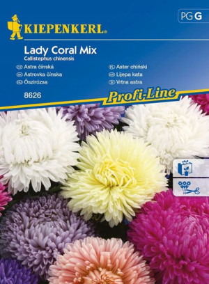 Aster Chiński 'Lady Coral' - Mix Nasion - Kiepenke