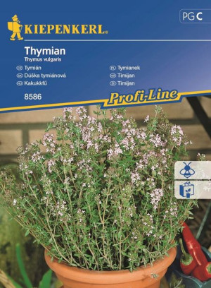 Tymianek - Wieloletni - Kiepenkerl