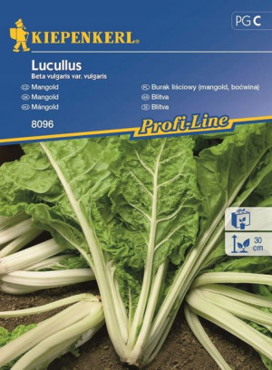 Burak liściowy 'Lucullus' - Boćwina - Kiepenkerl