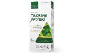 Medica Herbs Miłorząb Japoński 120mg 60kapsułek OSTATNIE SZTUKI