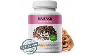 Maitake Grzyb Maitake 90kapsułek MycoMedica