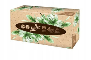 Linteo Chusteczki Higieniczne 100szt Karton...