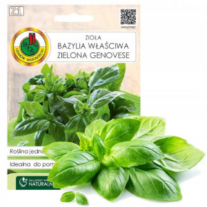 Bazylia Właściwa Zielona Genovese Nasiona Bez Gmo