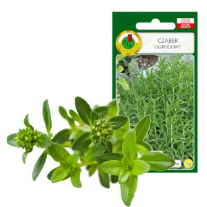 Cząber Zioło Przyprawa Nasiona Ziół Bez Gmo
