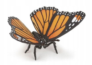 Motyl, Papo