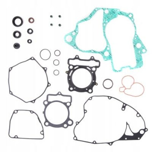 Komplet Uszczelek I Uszczelniaczy Suzuki Rmz 250
