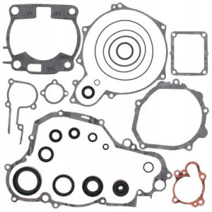 Komplet Uszczelek Z Uszczelniaczami Yamaha Yz 250