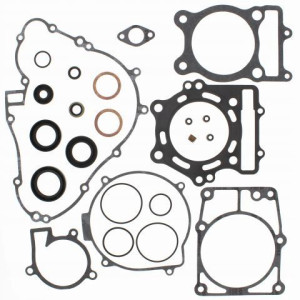 Komplet Uszczelek I Uszczelniaczy Kawasaki Kvf400