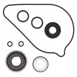 Zestaw Naprawczy Pompy Wody Honda Trx 420fa '09-16