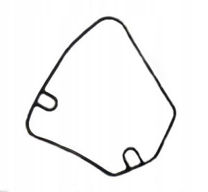 Uszczelka Pokrywy Alternatora Kawasaki Ninja Zx12r