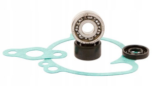 Zestaw Naprawczy Pompy Wody Kawasaki Kx 65 00-16