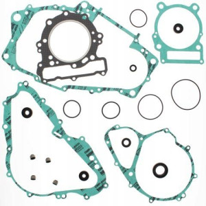 Komplet Uszczelek I Uszczelniaczy Can-am Ds 650
