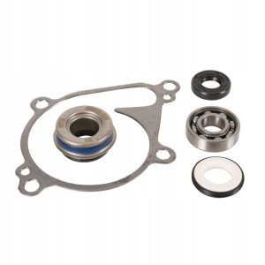 Hot Rods Zestaw Naprawczy Pompy Wody Kvf 750
