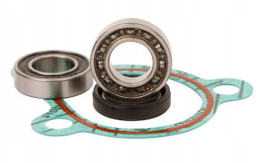 Zestaw Naprawczy Pompy Wody Ktm 65 Sx 99-08