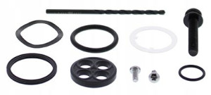 Zestaw Naprawczy Kranika Honda Trx250x 87-92