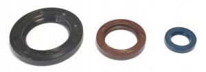 Komplet Uszczelniaczy Silnikowych Ktm Gs 250 80-81