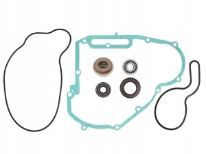 Zestaw Naprawczy Pompy Wody Polaris Sportsman 700
