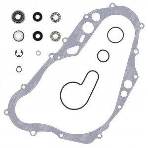 Prox Zestaw Naprawczy Pompy Wody Drz 400, Klx 400r