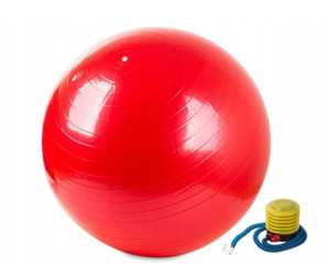 Piłka Gimnastyczna Gym Ball Do Ćwiczeń  65Cm Pompka