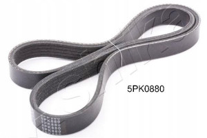 ASHIKA 112-5PK880 Pasek klinowy wielorowkowy