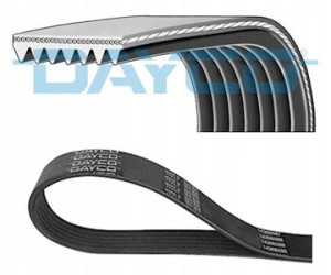 DAYCO 7PK2215 Pasek klinowy wielorowkowy