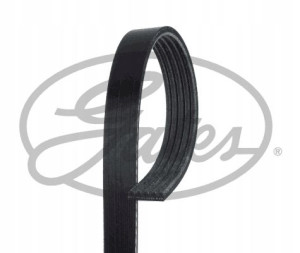 GATES 5PK1355 Pasek klinowy wielorowkowy