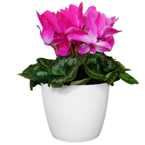 Doniczka Na Kwiaty Magnolia Eco Biała