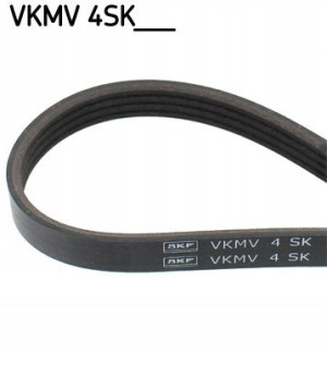 VKMV 4SK810 SKF Pasek klinowy wielorowkowy