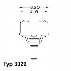 WAHLER 3029.89 Termostat, żrodek chłodzący