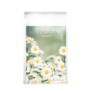 Coffee Plant Etiopia Ambaye 250g