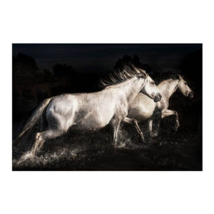 Obraz Glasspik Horse Metallic 80 x 120 cm