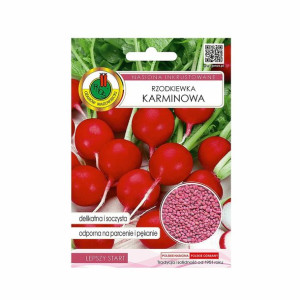 Rzodkiewka Karminowa 10g nasiona tradycyjne Pnos