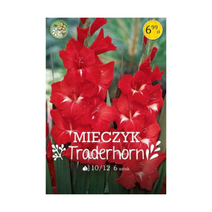 Mieczyk Traderhorn 6szt. cebulki kwiatów