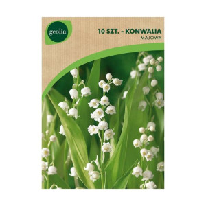 Konwalia majowa 10szt. cebulki kwiatów Geolia