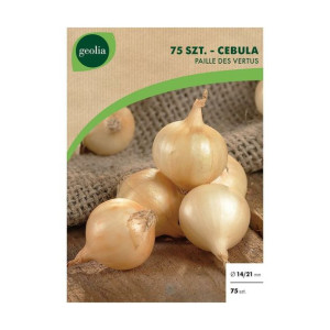 Cebula Paille Desvertus 75szt. Geolia