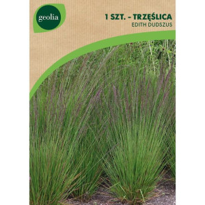 Nasiona trawy dekoracyjnej 0.15kg Geolia