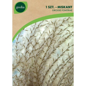 Nasiona trawy dekoracyjnej 0.15kg Geolia