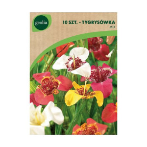 Tygrysówka pawia mix 10szt. cebulki kwiatów Geolia