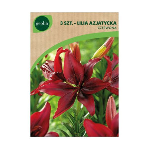 Lilia azjatycka Red 3szt. cebulki kwiatów Geolia