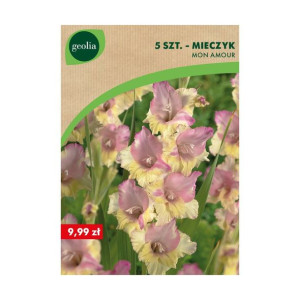 Mieczyk Mon Amour 5szt. cebulki kwiatów Geolia