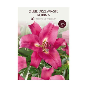 Lilia Robina 2szt. cebulki kwiatów Geolia