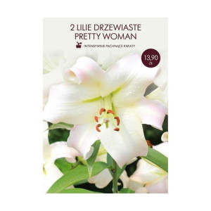 Lilia Pretty Woman 2szt. cebulki kwiatów Geolia