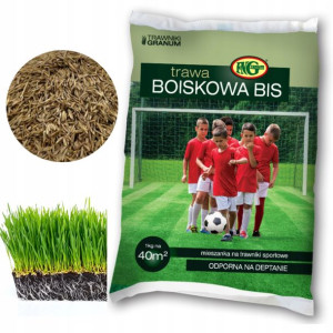 TRAWA Sportowa Odporna na Wymarzanie Na Murawę 1kg