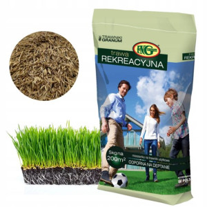 TRAWA Rekreacja Ogrodowa Na grunty Żyzne 5kg200m