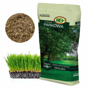 TRAWA Parkowa Cieniolubna Odporna Ogrodowa 5kg200m