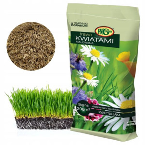 TRAWA Kwiatami Malowana 5kg Łąka Kwiatowa Ogrodowa