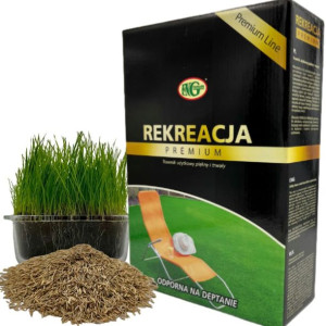 Trawa Rekreacja 1kg Odporna Na Deptanie
