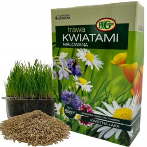 TRAWA Kwiatami Malowana 1kg Łąka Kwiatowa Ogrodowa